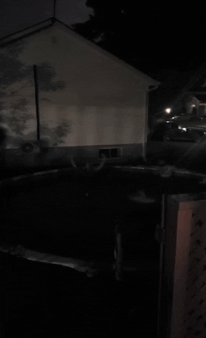 GIF by Beast Lure Co.