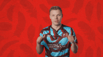 Premier League Football GIF by Lansing Common FC