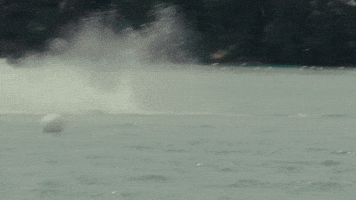 Fall Fail GIF by Peach Pit