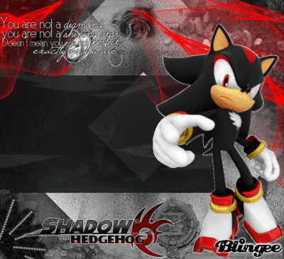 shadow the hedgehog