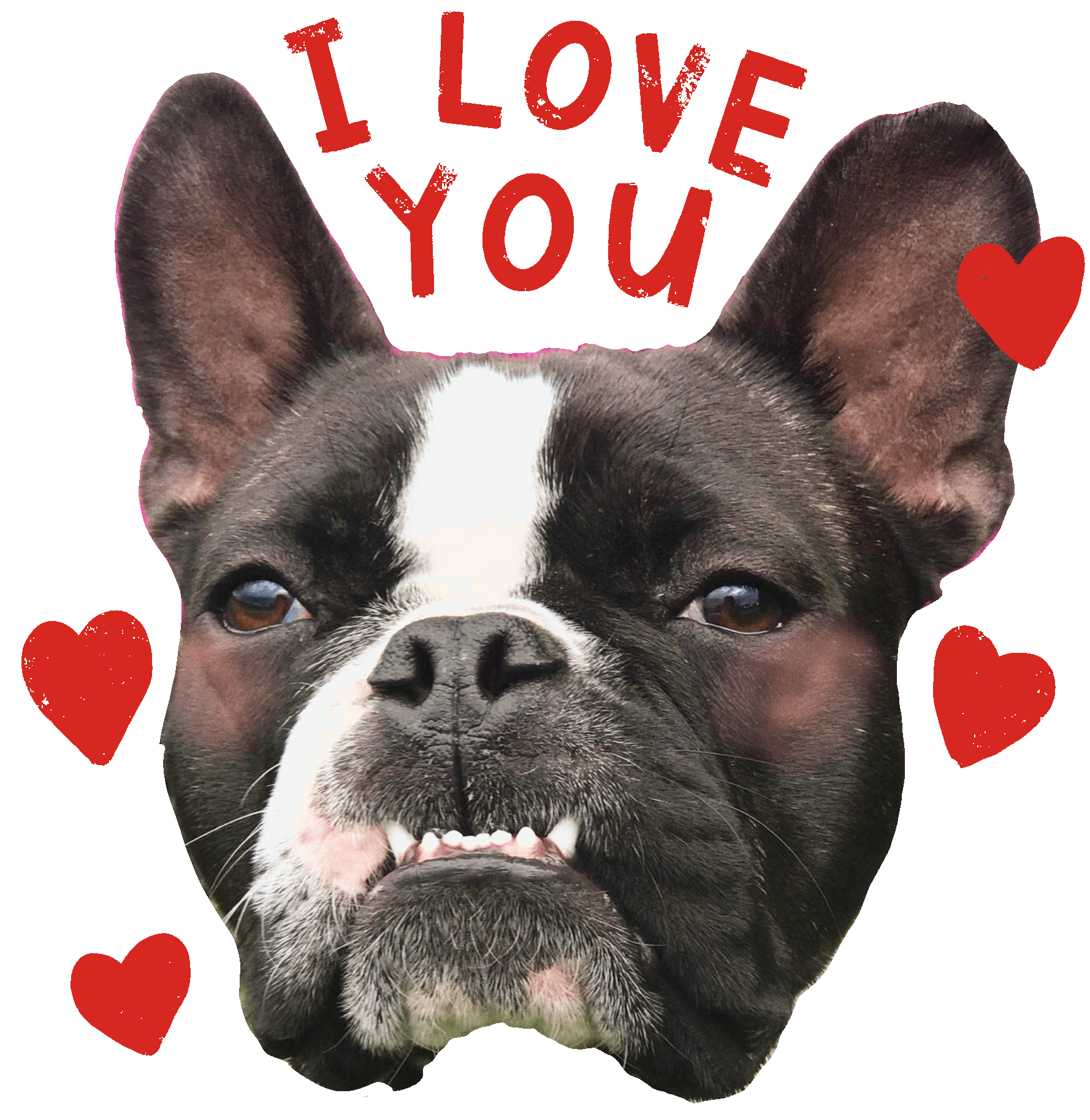 I Love You Hearts Sticker By Smelleigh For Ios Android Giphy
