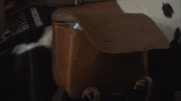Cowboy Cow GIF by Philadelphia Cream Cheese