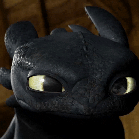 GIF by How To Train Your Dragon