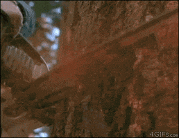 chuck norris deal with it GIF