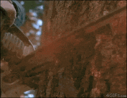 Chuck Norris Deal With It GIF