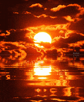Sunset Water Gif GIF