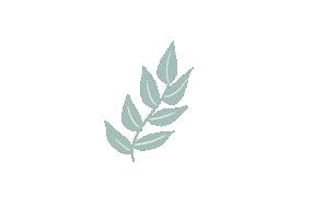 Summer Flower Sticker by RESA