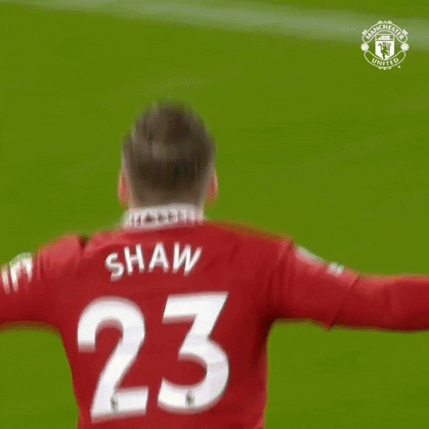 Happy Luke Shaw GIF by Manchester United