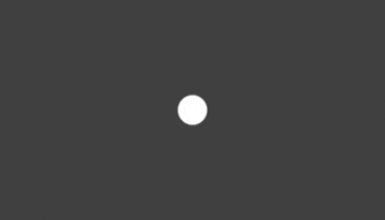 538Koningsdag GIF by Radio 538