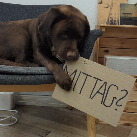 Dog Lunch GIF by klar Werbeagentur GmbH
