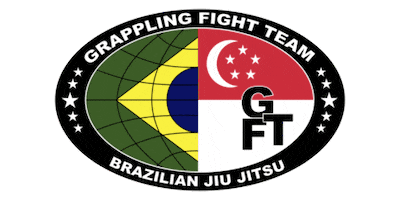 Bjj Brazilian Jiu Jitsu Sticker by Neue Fit