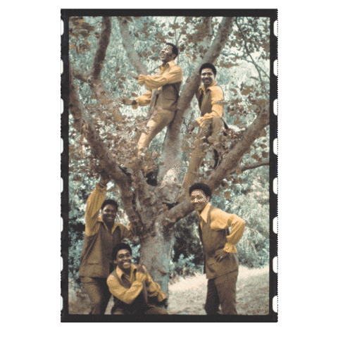 The Dells Jazz Sticker by Chess Records