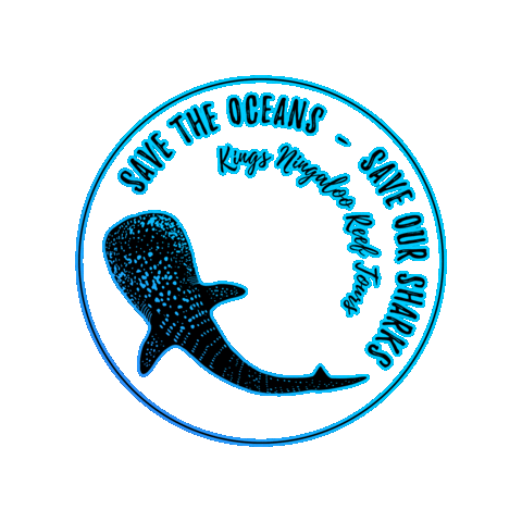 KingsNingalooReefTours Sticker