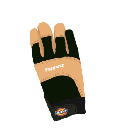 Dickies Sticker