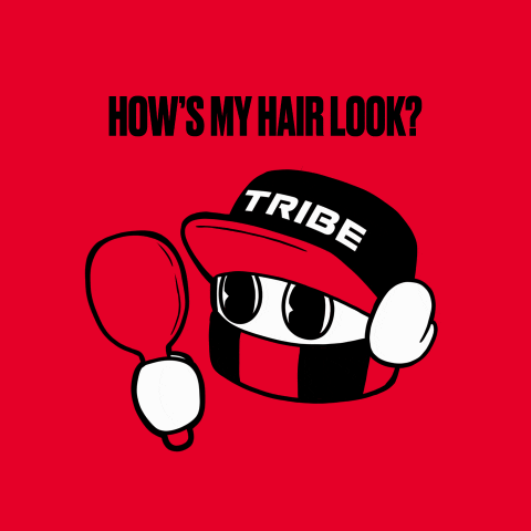 Hair Do I Look Good GIF by Tribe Gaming