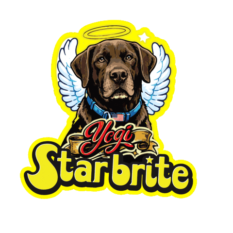 Nascar Lab Sticker by Star brite