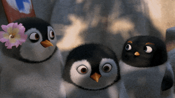 Surfs Up Penguins GIF by Sony Pictures Animation