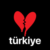 Heart Turkey GIF by hubcollage