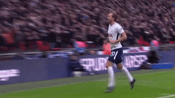 come on you spurs harry kane GIF by Tottenham Hotspur
