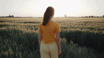 Create Widescreen Video Effect GIF