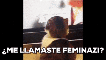 anaichaz  GIF