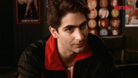 Giphy - sopranos mafia GIF by HBO