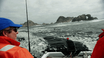 great white shark research GIF by Monterey Bay Aquarium