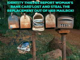 Identity Theft GIF