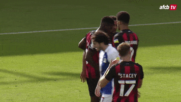 Happy Goal GIF by AFC Bournemouth