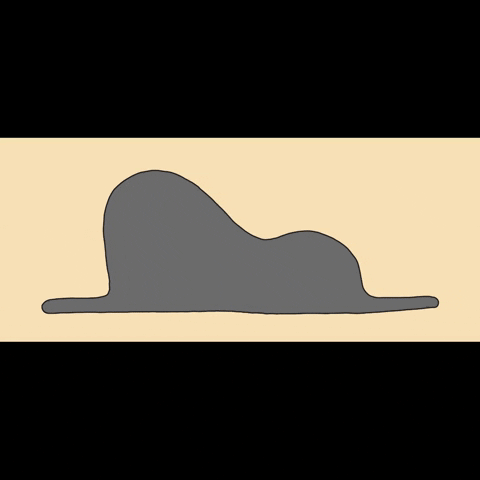 Fun Historia GIF by Cachi - Find & Share on GIPHY