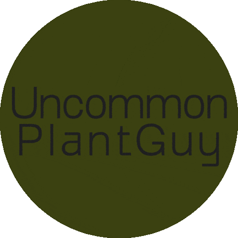 UncommonPlantGuy Sticker