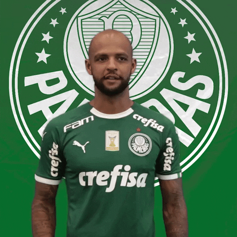 felipe melo soccer GIF by SE Palmeiras