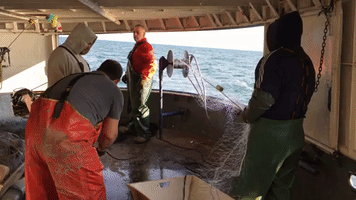 Wheatley Kimmy Sue GIF