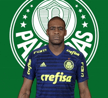 nÃ£o no GIF by SE Palmeiras