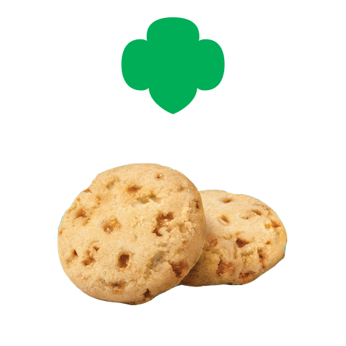 Girl Scouts Box Sticker by BTC Revolutions