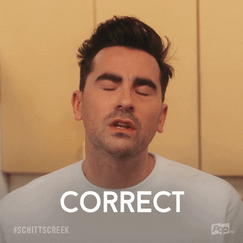 Pop Tv Yes GIF by Schitt's Creek
