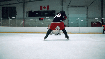 goal snipe GIF by Hockey Training
