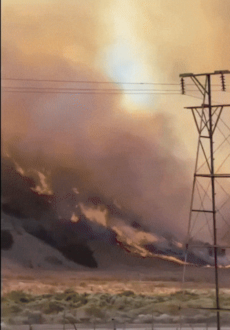 Driving Southern California GIF by Storyful