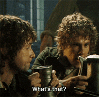 lord of the rings lol pippin GIF by Maudit