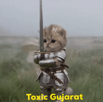 Cat Knight GIF