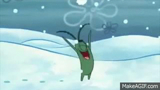 plankton
