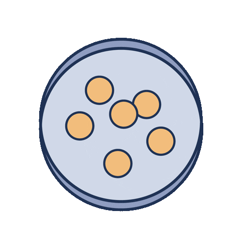 fertilid Sticker