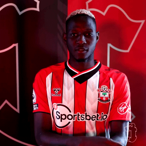 Djenepo Moussadjenepo GIF by Southampton FC