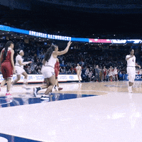 southeastern conference sec GIF by gamecocksonline