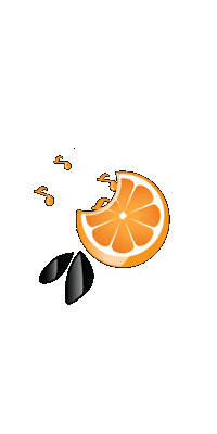 Orange Italy Sticker by gretatedeschi