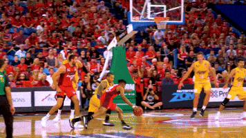 bryce cotton rip GIF by Perth Wildcats