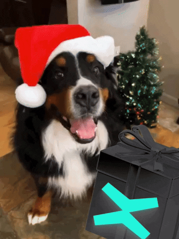 Merry Christmas Dog GIF by MultiversX