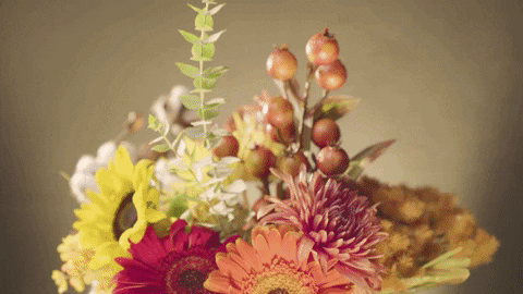 Floral Bouquet Gifs Get The Best Gif On Giphy