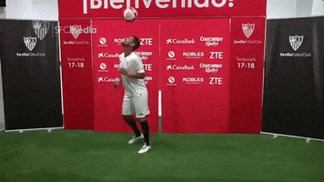 la liga football GIF by Sevilla Fútbol Club