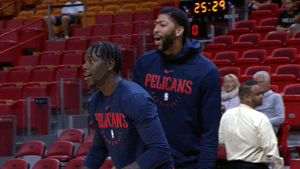 new orleans pelicans lol GIF by NBA